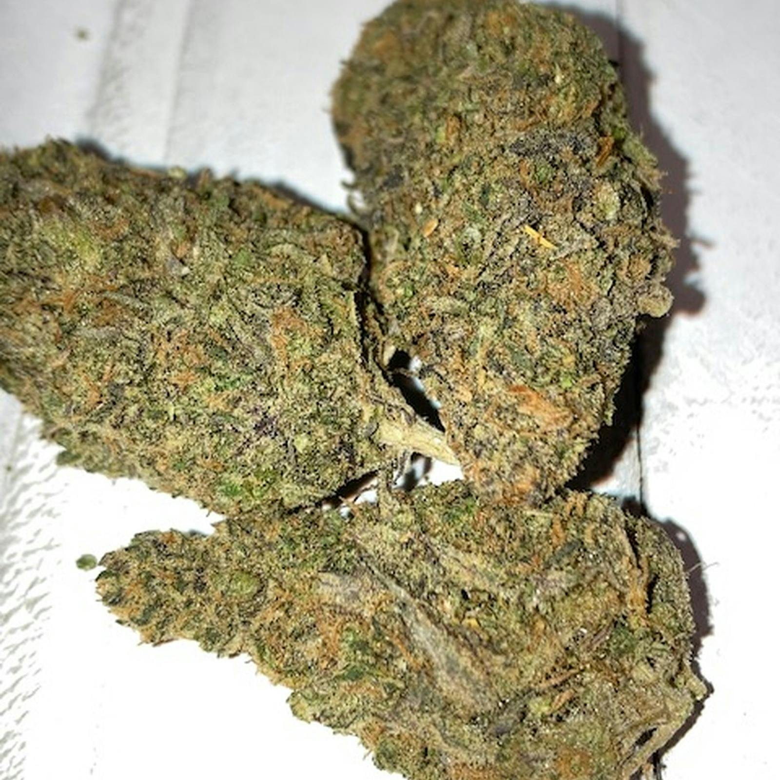 TM Productions-Tang OG-Flower